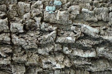 Old timbered wooden texture and background.