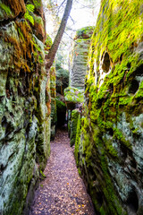 Narrow passage through sandstone gorge