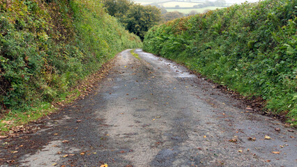 Rural roads just after the rain 