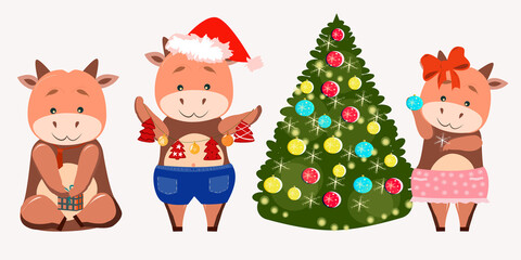 Bulls small and cute are getting ready to celebrate Christmas
