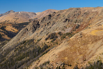 Alpine Glory on Trail Ridge Road Colorado