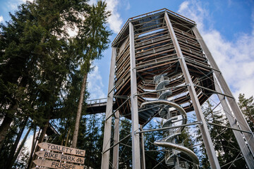 Treetop Walkway (Stezka korunami stromu) in sunny day Lipno nad Vltavou, South Bohemia, Czech Republic