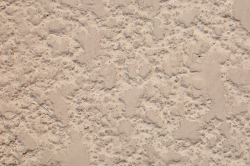 pared