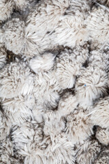 alfombra