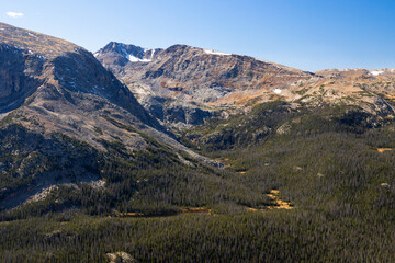 Fototapeta na wymiar Alpine Glory on Trail Ridge Road Colorado