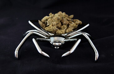 Cannabis Spider