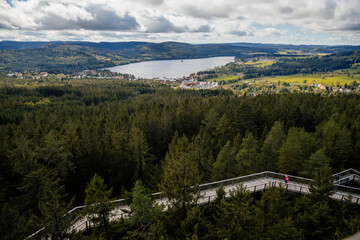 View of Lipno Dam and Sumana national park from Treetop Walkway, Lipno nad Vltavou, South Bohemia,...
