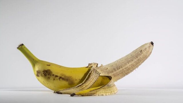 The banana comes to life and rises against a white background. Male Power Concept. Two weeks timelapse