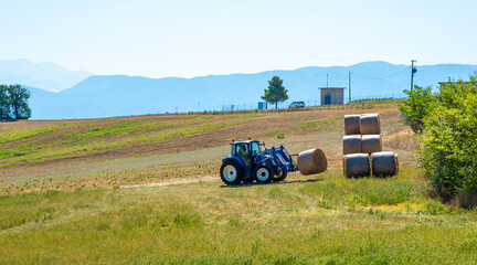 Hay is stacked by the tractor. Work in the countryside.