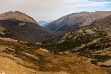 Alpine Glory on Trail Ridge Road Colorado