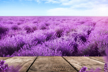 Fototapeta na wymiar Empty wooden surface in lavender field under blue sky