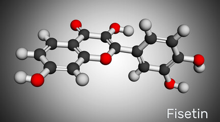 Fisetin molecule. It is plant flavonol from the flavonoid group of polyphenols. Molecular model