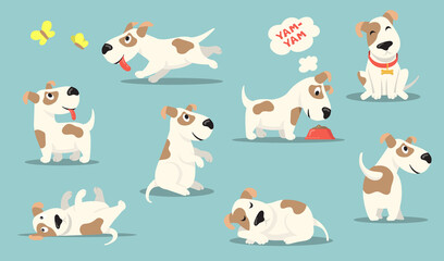 Happy small dog set. Cute funny puppy practicing different activities, hunting, playing, eating, sleeping. Vector illustrations collection for pet care, animal adoption, canine, breed concept