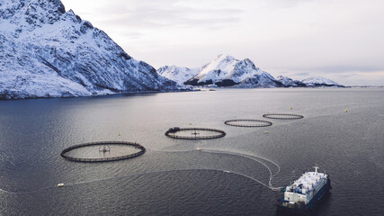 Salmon fish farming in Norway sea. Food industry, traditional craft production, environmental conservation. Aerial view of round mesh for growing and catching fish in arctic water surrounded by fjords © BullRun