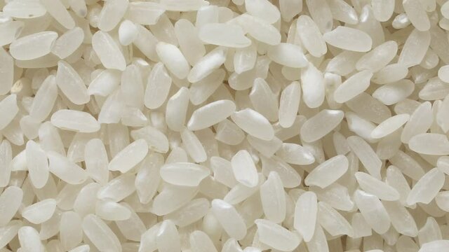 Raw sushi rice full frame close up