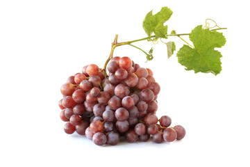Obraz premium Bunches of purple grapes with sprig isolated on white