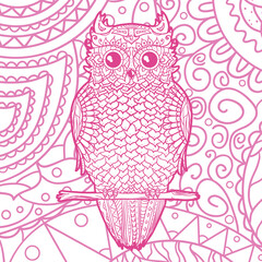 Square pattern. Owl. Hand drawn mandala. Design for spiritual relaxation for adults
