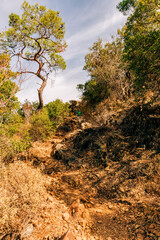Steep footpath with man hiking downhill