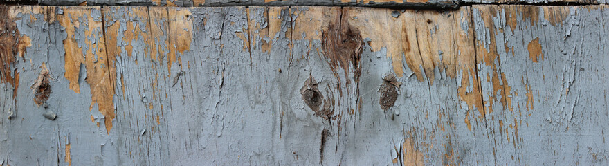 old wood with cracks and gray paint for background