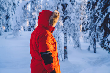 Fototapeta na wymiar Rear view of man in warm red winter coat in hood standing in white frozen wood explore destination, male traveler spending time in white forest with snowy trees during journey