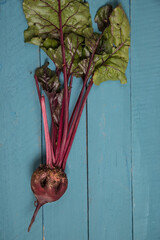 Ugly sugar beet root crop on a blue wooden background. Vertical orientation