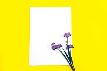 Mockup invitation, blank greeting card with purple flowers isolated on yellow background