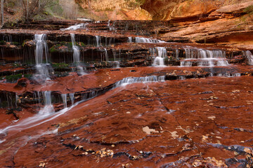 Waterfall in the Left Fork North Creek, Zion National Park