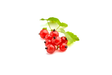 Red currant berries isolated on white background