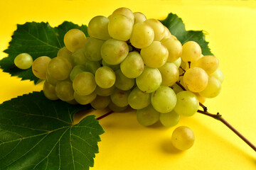 A bunch of white grapes with leaves on a yellow background.