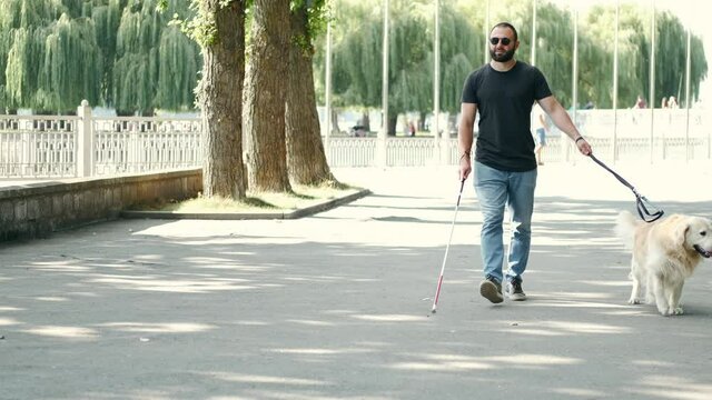 Blind attractive man walking with guide dog in park, good trained golden retriever.