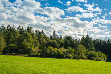 Kleine Wolken in blauem Himmel über einer grünen Landschaft mit Wiese und einem Waldrand an einem...