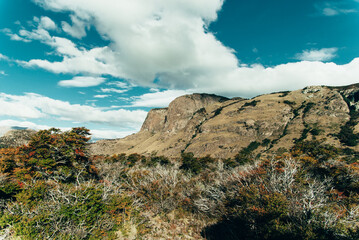 Fototapeta na wymiar A view of Patagonian scenery near El Chaltén.
