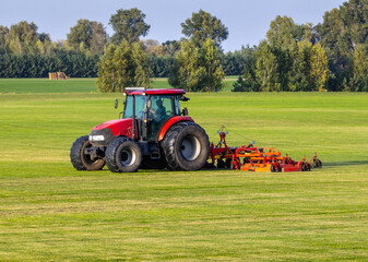 Industrial production of lawn grass in rolls. Trimmed field, resistant to mechanical impact and...