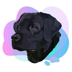 Black labrador vector.Portrait of a dog 1. Trend