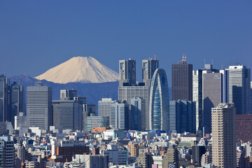 新宿高層ビル群と富士山 © Paylessimages