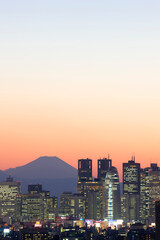 新宿高層ビル群と富士山