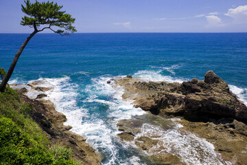 ぜびら自然公園の海