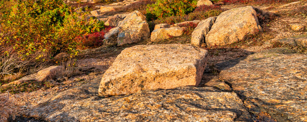 Beautiful rocks and ocean of Acadia National Park, Maine