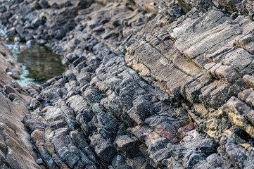 Folded sections of Black Rock Limestone