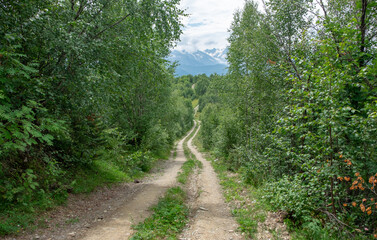 Fototapeta na wymiar A winding gravel road through green forest in rural Svaneti, Georgia. Caucasus mountain range on the background.
