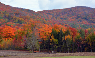 Fall landscape eastern townships Bromont Quebec province Canada