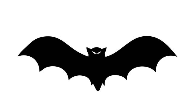 Flying bat on the white background. Halloween background