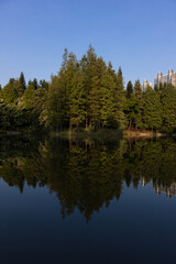 Green trees by the lake in which the trees are reflected. Multi-story buildings can be seen behind the trees. Vertical orientation