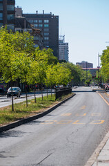avenida y arboles