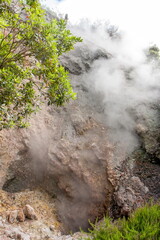 landscape with steamed air coming from volcanic hot springs and fumaroles