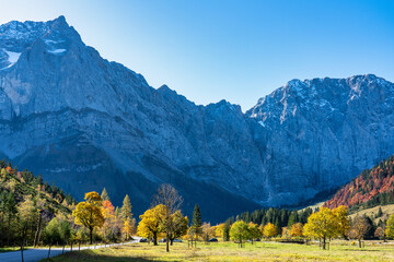 maple trees at Ahornboden, Karwendel mountains, Tyrol, Austria - obrazy, fototapety, plakaty