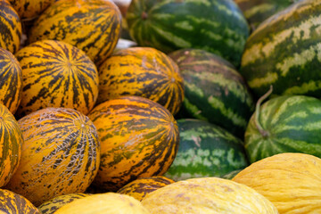 Close-up of ripe yellow and orange melons and green watermelons