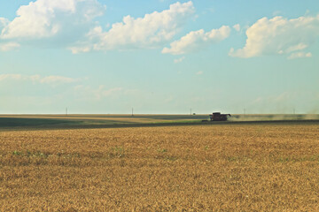 Cosechadora segando un campo de cereal. Campos de cereal al sur de Rumanía, cerca de Tulcea.