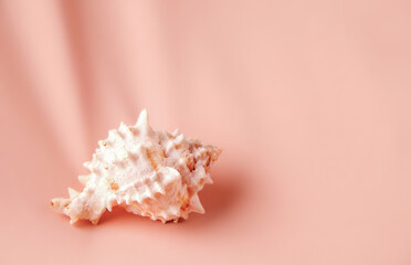 Obraz na płótnie Canvas A pink background of silks with a shell on it. Copy space. Marine theme