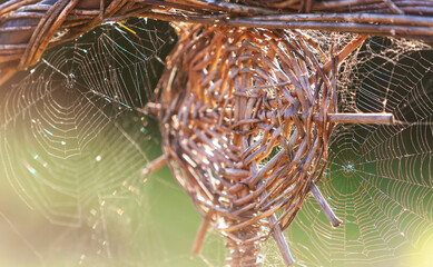 Cobweb or spider web Around the pattern in the form of a circle of willow twigs. Spider Web spooky, scary, horror background. Natural background, outdoor.